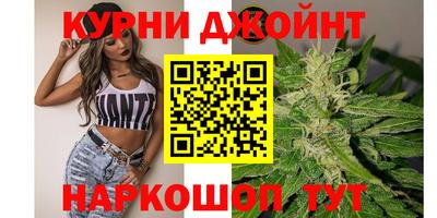 сатива Гусиноозёрск