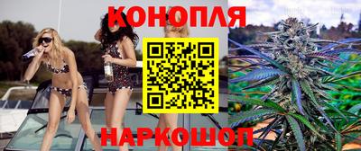 стафф Дубна