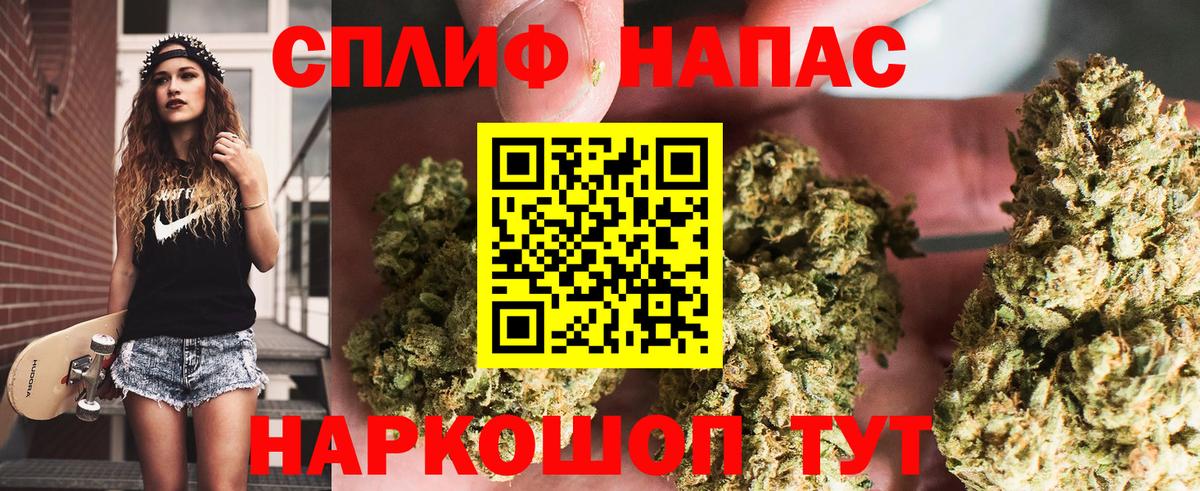 Конопля планчик Ленинск-Кузнецкий